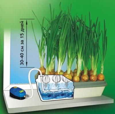 Установка для вирощування зеленого лука Цибулеве щастя гідропоніка для дому